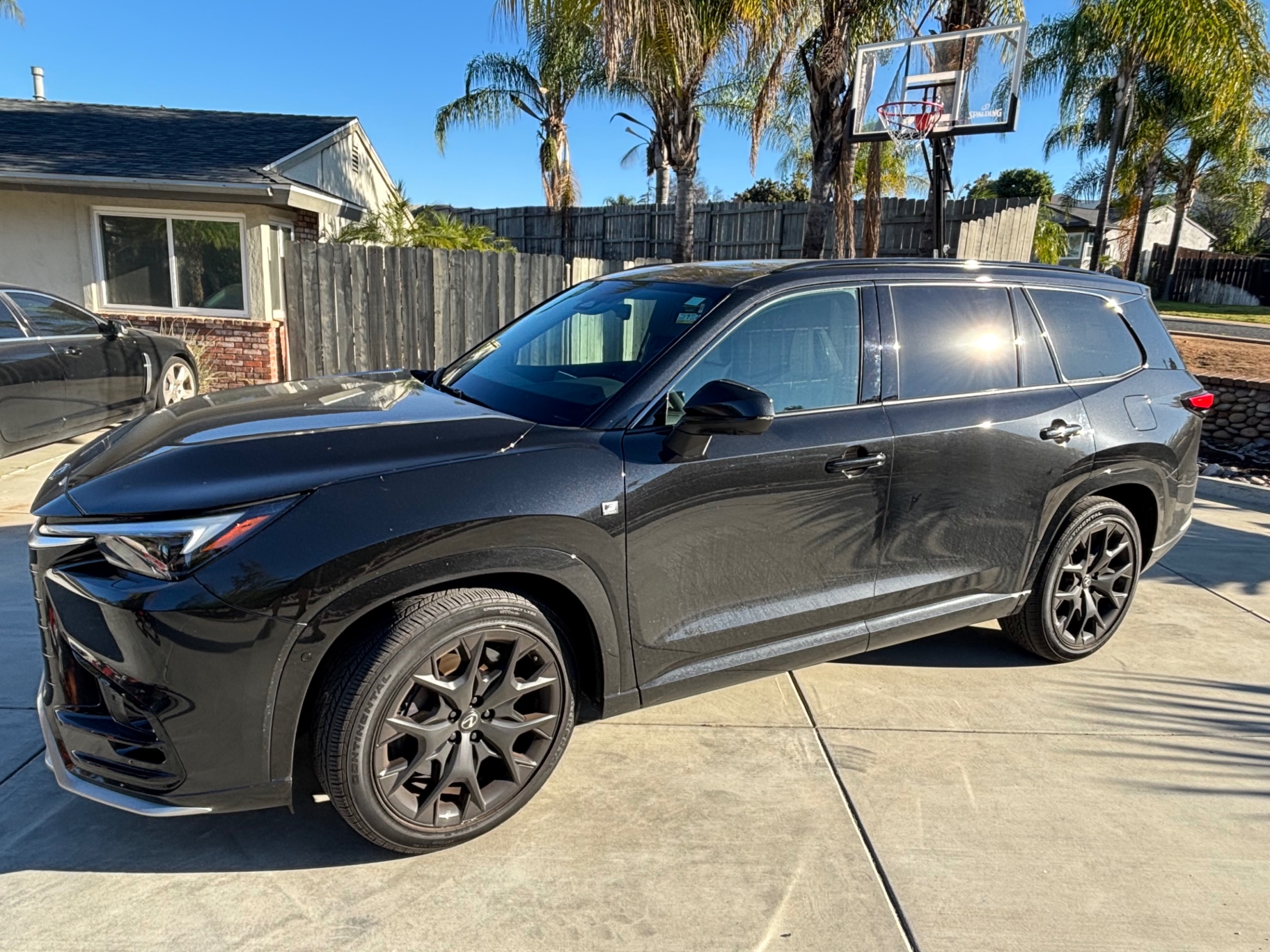 Lexus TX — Hand Wash & Wax — before detailing, showing dirt and wear